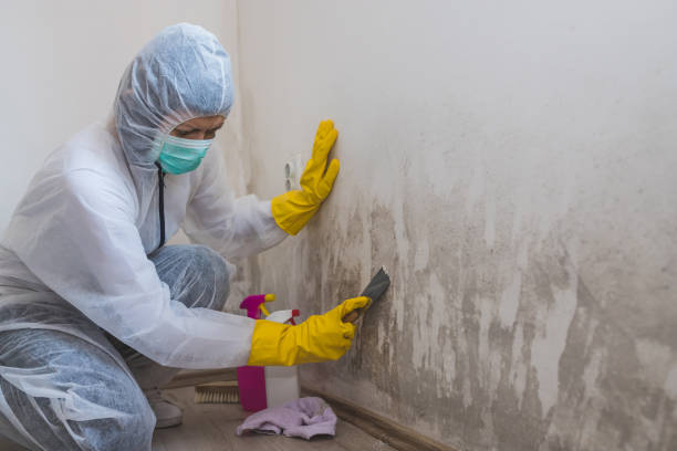 Best HVAC Mold Inspection and Cleaning  in Baird, TX